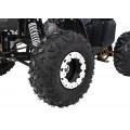 Štvorkolka WILDPEAK 110cc Black Combustion