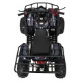 Štvorkolka WILDPEAK 110cc Black Combustion