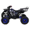 Štvorkolka WILDPEAK 110cc Blue Combustion