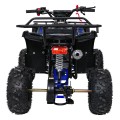 Štvorkolka WILDPEAK 110cc Blue Combustion