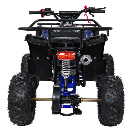 Štvorkolka WILDPEAK 110cc Blue Combustion