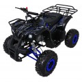 Štvorkolka WILDPEAK 110cc Blue Combustion