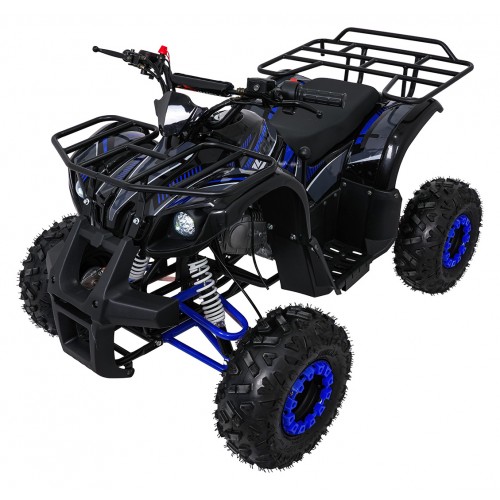 Štvorkolka WILDPEAK 110cc Blue Combustion