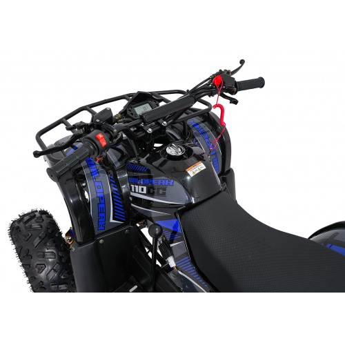 Štvorkolka WILDPEAK 110cc Blue Combustion