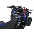 Štvorkolka WILDPEAK 110cc Blue Combustion