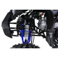 Štvorkolka WILDPEAK 110cc Blue Combustion