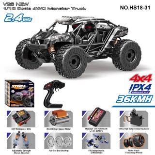 R/C 2.4GHz MONSTER auto