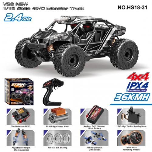 R/C 2.4GHz MONSTER auto