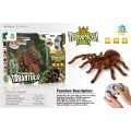 Tarantula R/C pavúk