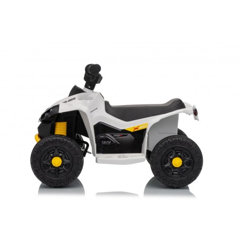 MINI Can Am Renegade ATV biela