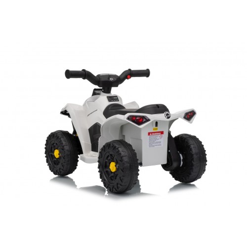 MINI Can Am Renegade ATV biela