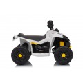 MINI Can Am Renegade ATV biela