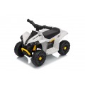 MINI Can Am Renegade ATV biela