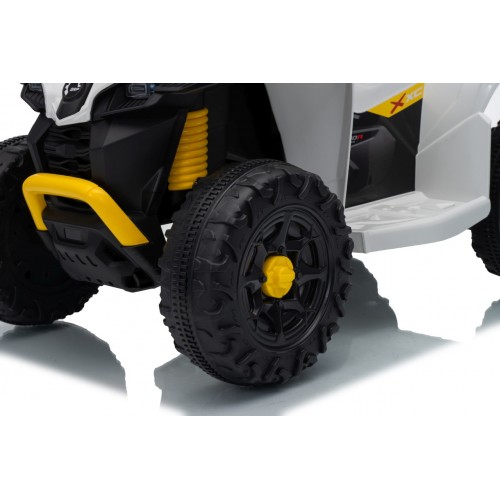 MINI Can Am Renegade ATV biela
