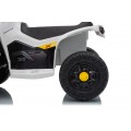 MINI Can Am Renegade ATV biela