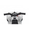 MINI Can Am Renegade ATV biela