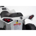 MINI Can Am Renegade ATV biela