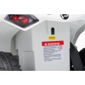 MINI Can Am Renegade ATV biela