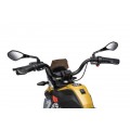 Motor vozidla BMW G310GS šampanské