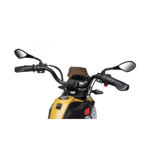 Motor vozidla BMW G310GS šampanské