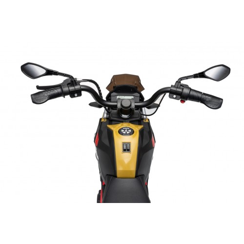 Motor vozidla BMW G310GS šampanské