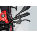 Motor vozidla BMW G310GS Červený