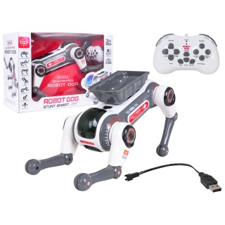 R/C robot AIDOG s funkciou svetiel